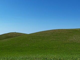 Landscape in maremma Tuscany