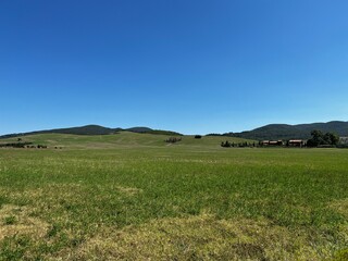 Fototapeta premium landscape in maremma Tuscany