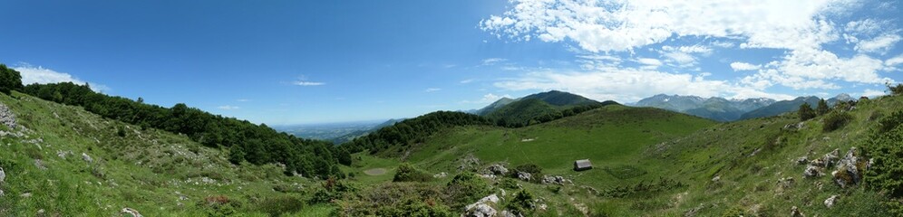 Fototapeta premium panorama