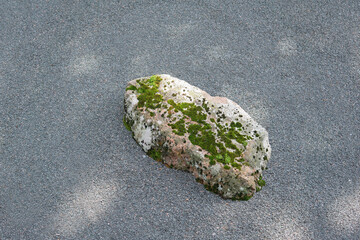 element of japanese dry rock garden, mossy cobblestone among gravel area