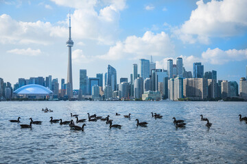 Beautiful view of Rogers Centre and CN Tower in Toronto, Canada