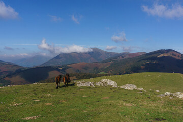 Fototapeta na wymiar Two horses pasturing in the mountain meadows of basque country enjoying beautiful view, Euskal Herria, Navarre, Spain.