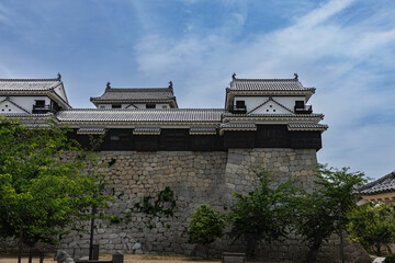 Fototapeta na wymiar 愛媛　春の松山城と石垣