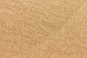 Beach sand background for texture