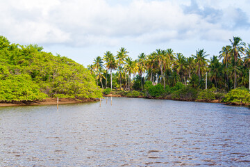 Tatuamunha river in São Miguel Dos Milagres, Alagoas state.