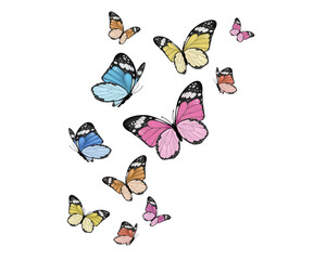 Obraz premium set of butterflies