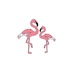 pink flamingo on white