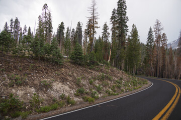 Two lane road through Lassen Volcanic National Park, California