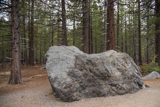 Hot Rock, volcanic rock in the forest