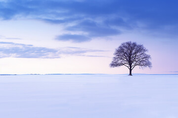Fototapeta na wymiar Minimalistic tree in the snowy landscape