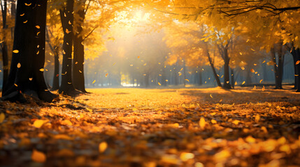 Autumn park with yellow trees and fallen leaves. Beautiful nature background