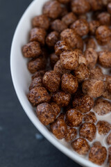 sweet and healthy chocolate balls with cow's milk