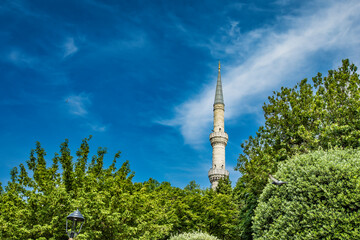 Obraz premium Mosque in the park