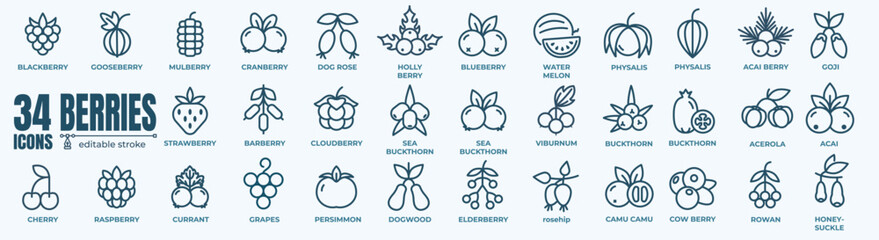 Berry and berries elements - minimal thin line web icon set. Outline editable icons collection. Simple vector illustration. © stockgood