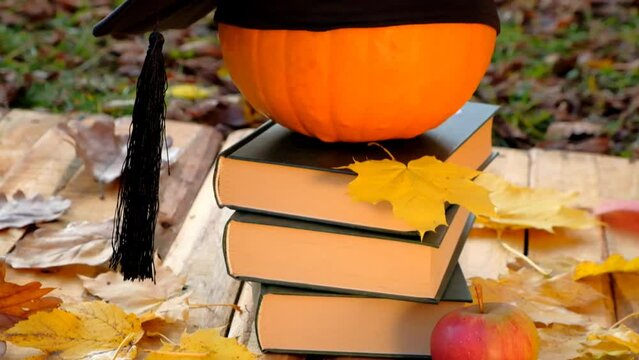 Back to school.Student hat on pumpkin and stack of books on wooden background in autumn garden.Study and education concept.Start school and college season concept. 4k footage