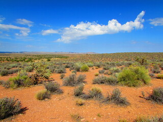 Paysage désertique du Nevada.