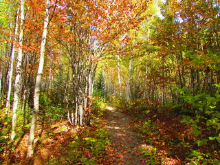 Magnifiques couleurs d'automne.