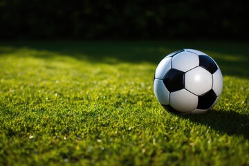 Fototapeta premium Soccer ball on a pitch