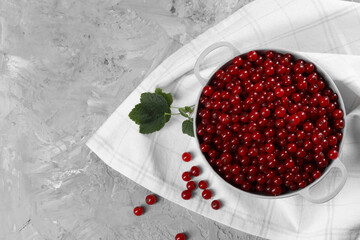 Ripe red currants in colander and leaves on grey textured table, flat lay. Space for text