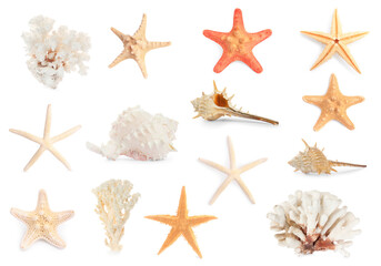 Set with sea stars, shells and corals isolated on white