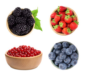 Set with different berries in bowls isolated on white