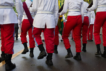 Fototapeta premium Military school students are seen marching during Brazilian independence celebrations in the city of Salvador, Bahia.