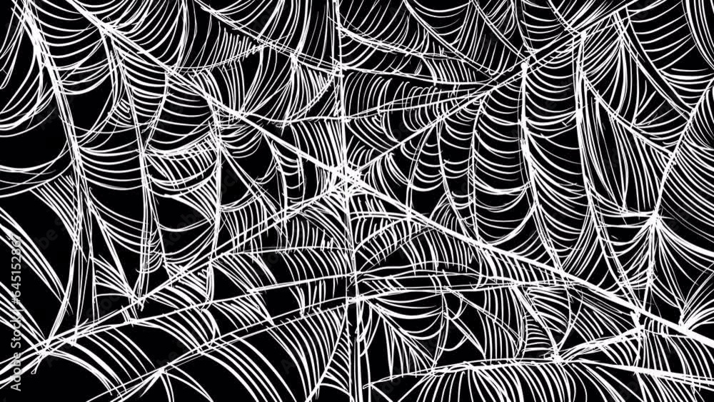 Wall mural animation of a spider filling with white webs on a black screen. video transition with sketch gothic