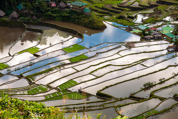 Batad Rice terraces, Banaue, Ifugao, Philippines.
