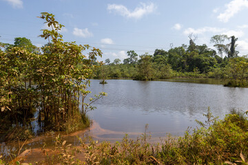 Beautiful lush green landscape along the famous earth road Transamazonica towards Santarém through the Amazon rainforest in dry season in northern Brazil, South America