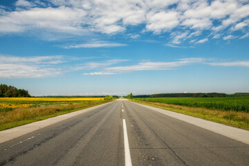 Asphalt highway among agricultural fields of corn and sunflowers.