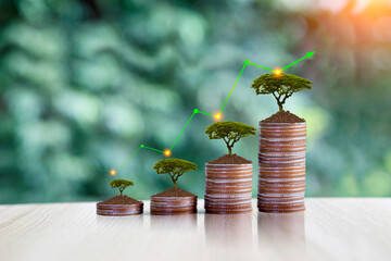 invest concept. Green tree growing on gold coins. Growing power of compound interest. Prosperous...