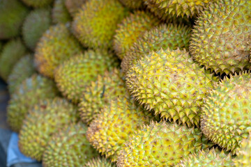 Durians fruit for sale at the market, Vietnam fruit, specialty from Cai Lay region, Tien Giang