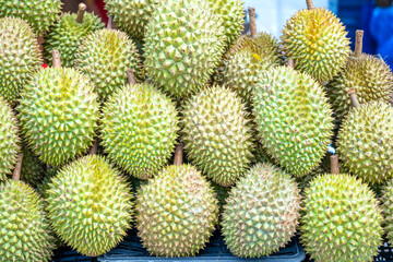 Durians fruit for sale at the market, Vietnam fruit, specialty from Cai Lay region, Tien Giang