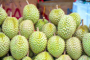 Durians fruit for sale at the market, Vietnam fruit, specialty from Cai Lay region, Tien Giang