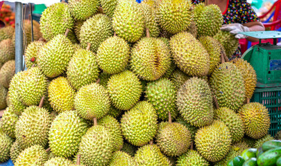 Durians fruit for sale at the market, Vietnam fruit, specialty from Cai Lay region, Tien Giang