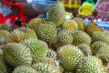 Durians fruit for sale at the market, Vietnam fruit, specialty from Cai Lay region, Tien Giang