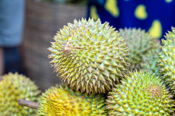 Durians fruit for sale at the market, Vietnam fruit, specialty from Cai Lay region, Tien Giang