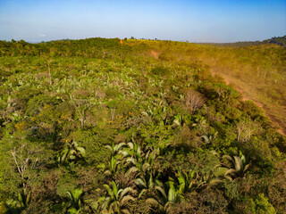 Drone shot of the famous earth road Transamazonica towards Santarém in dry season through the...