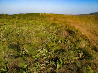 Drone shot of the famous earth road Transamazonica towards Santarém in dry season through the Amazon rainforest in northern Brazil, South America in the morning sun