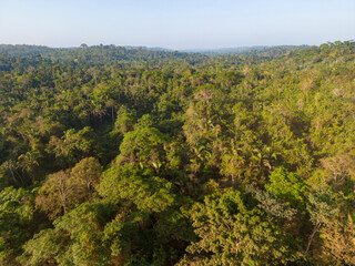 Drone shot - bird's eye view of the lush green landscape along the famous earth road Transamazonica...