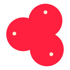 holly christmas branches leaves berries fruit decoration