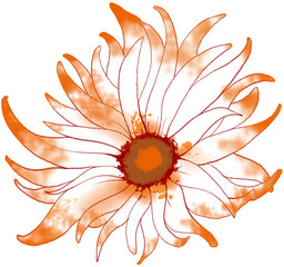 yellow flower illustration