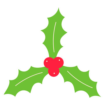 holly christmas branches leaves berries fruit icon