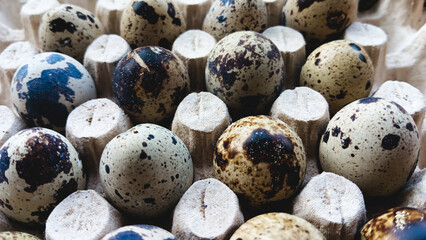 Close-up quail eggs are small and numerous