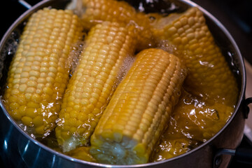 Home cooking boiled corn in a saucepan. Lots of sweet, tasty and boiled corn.
