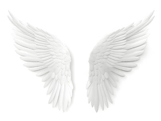 Angel wings isolated on white background