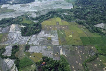 Aerial view, landscape of rice fields with natural conditions typical of the tropical season.