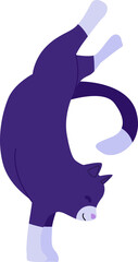 Cat Character Illustration