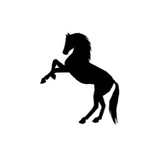 Horse silhouette. Black and white horse ilustration. © Afandi