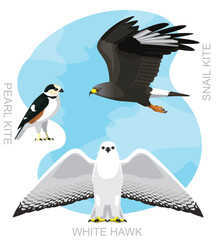 Cute Bird Kite Hawk White Set Cartoon Vector